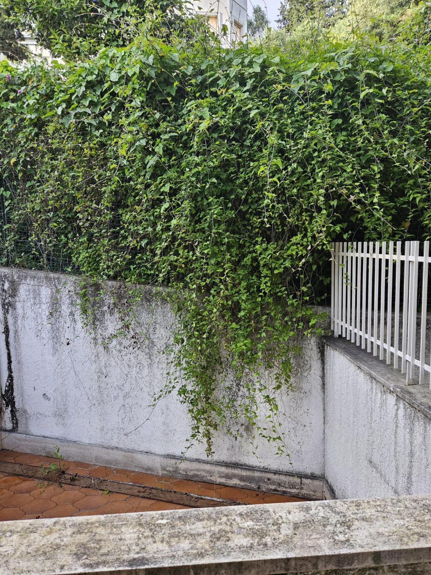 Carola Appartement